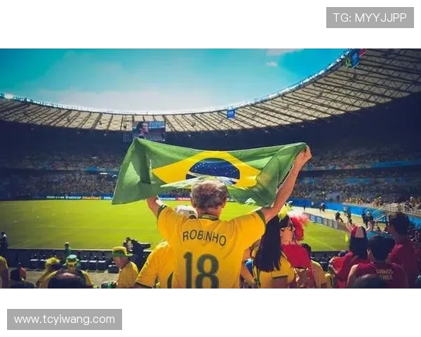 2006年世界杯经典对决阿根廷与荷兰的激烈较量与精彩瞬间回顾