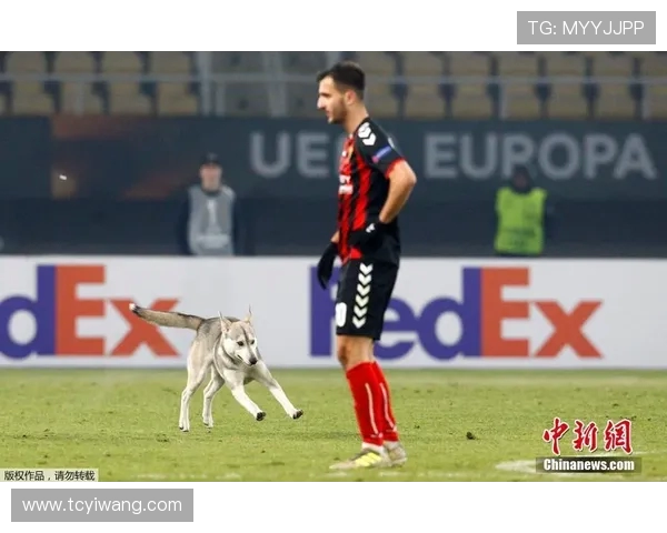 广东与新疆激战正酣文字直播全程回顾精彩瞬间与赛场动态分析