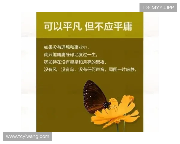 张宁的奋斗历程与人生哲学探讨：从平凡到卓越的心路历程