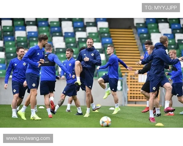 意大利与瑞典足球比赛技术统计分析及数据对比详解 意大利与瑞典足球比赛技术统计分析及数据对比详解