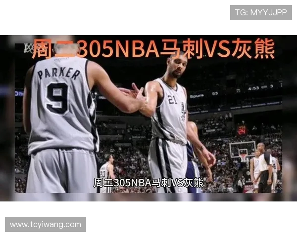 灰熊与马刺季后赛对决深度分析及关键因素探讨