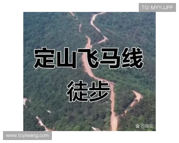 飞马与梦想的胜率较量探讨如何在追梦路上提升成功概率 飞马与梦想的胜率较量探讨如何在追梦路上提升成功概率