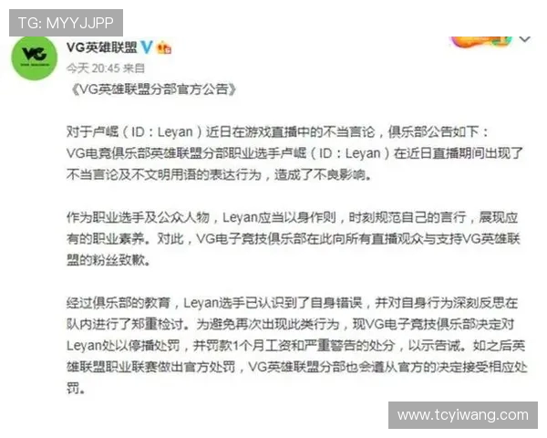 王者荣耀战术解析：TES如何构建强大的整体压制体系与团队协作策略