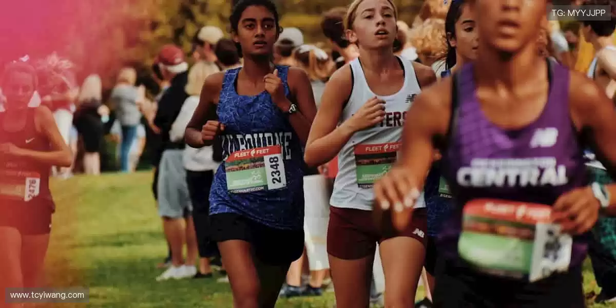 指尖掌控，赛事全收！📱